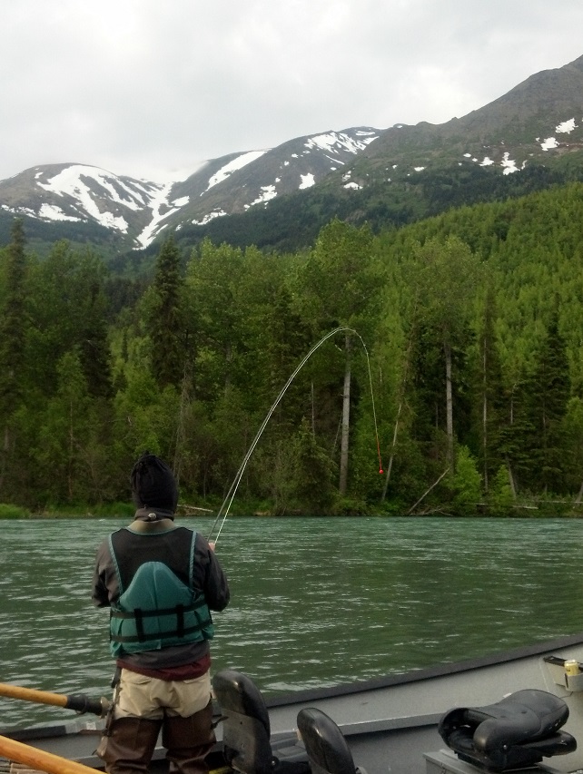 Backpacking Denali Fishing Kenai River